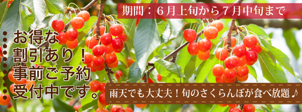 山形県天童市でもも狩りができる観光果樹園 山形県天童市でフルーツ狩り もも さくらんぼ ぶどう りんご を楽しめる仲野観光果樹園